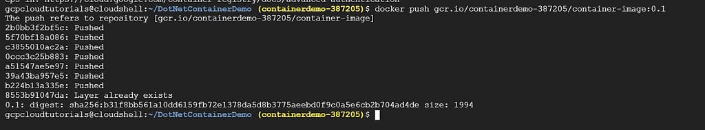 Docker Push Command